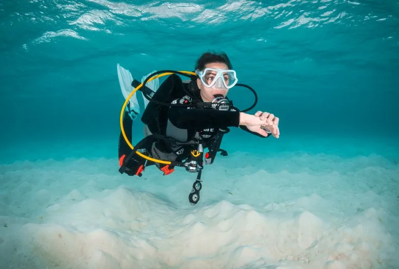 Halkidiki, jedinstvena destinacija za ronjenje — Aktivnosti, Chalkidiki Hub