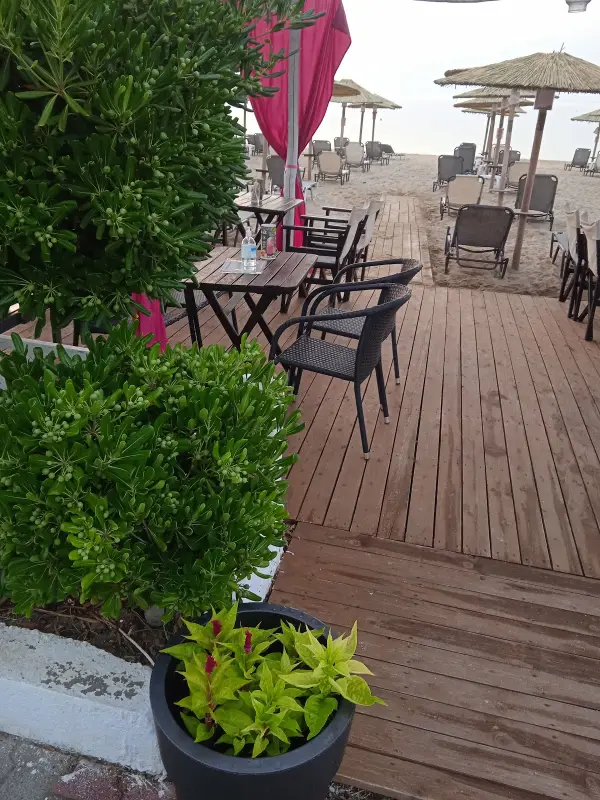 Desire Bar, Sarti — bar