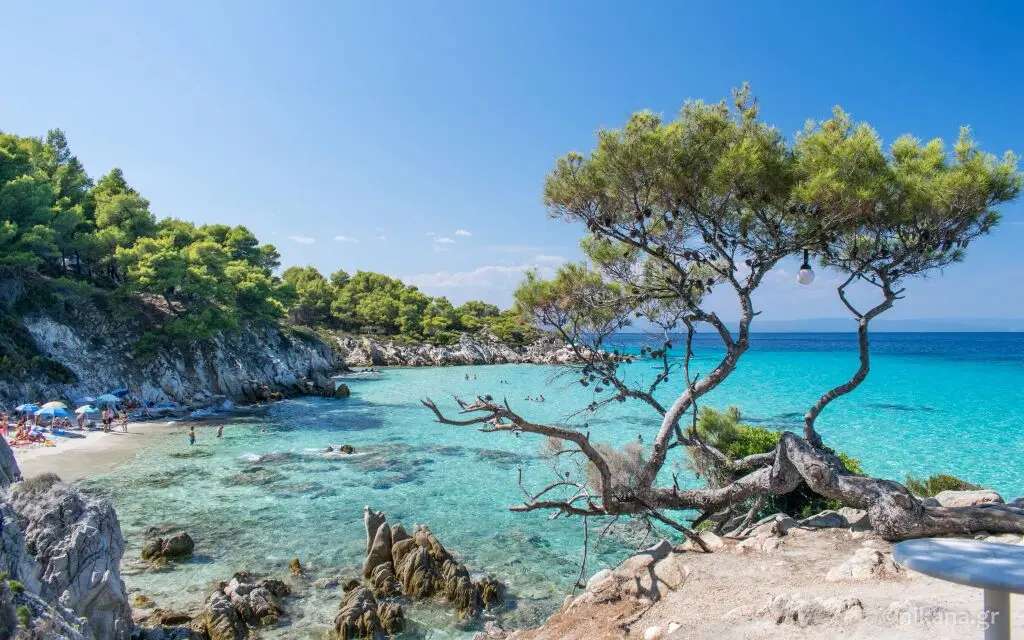 Πορτοκάλι (Orange), Σάρτη, Σιθωνία — Αμμουδιά, Βότσαλο, Ελεύθερη