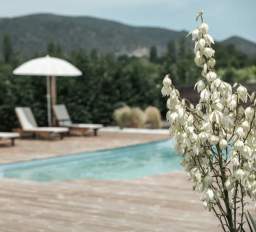 Thespis Villa 2 — 9