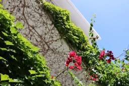 Olympic Kosmas Hotel 3* - Hanioti — 6