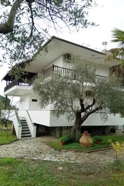 Forest Aelia Sea View — 2
