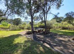 Forest Aelia Sea View — 5