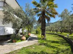 Forest Aelia Sea View — 6