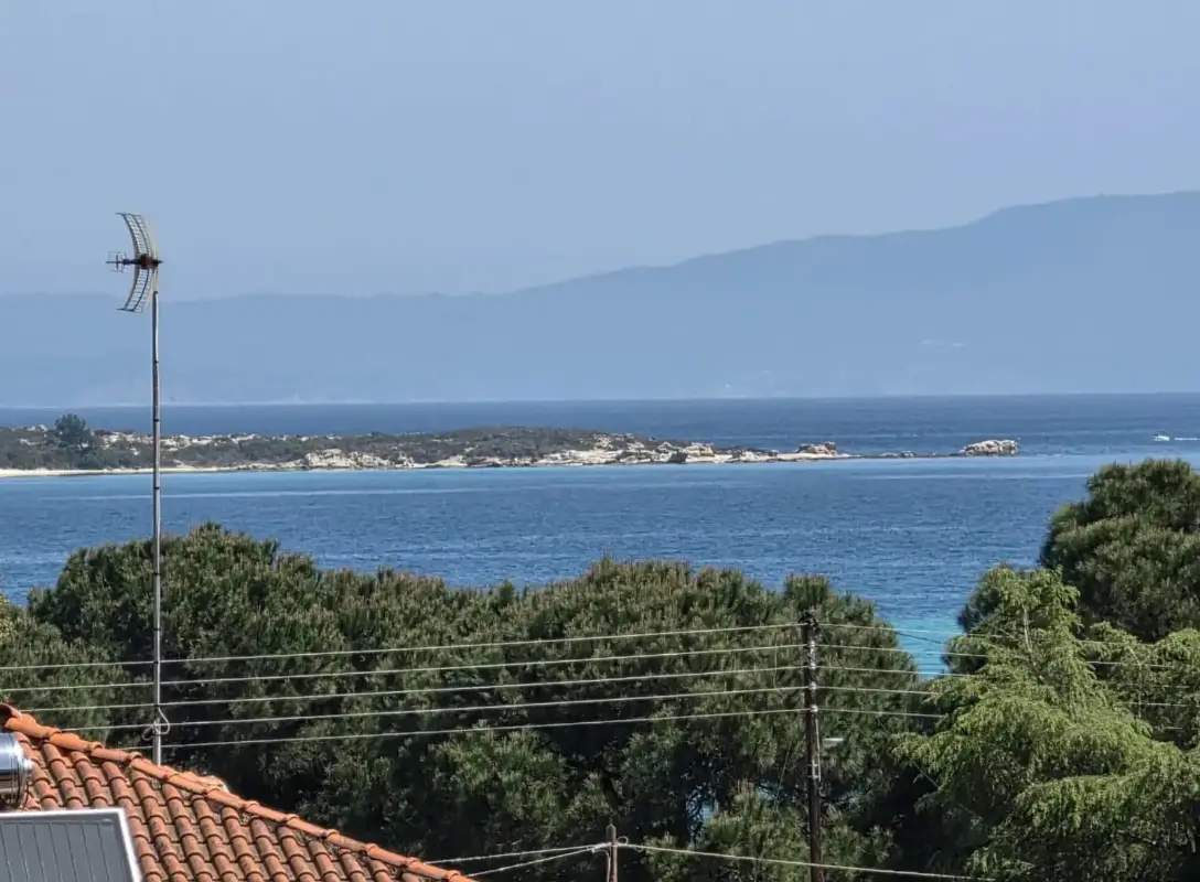 Лес Аэлия с видом на море