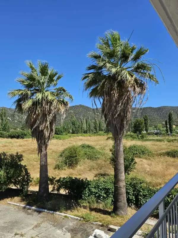 Апартамент Chrisis, Sykia — 3 спални, 9 гости