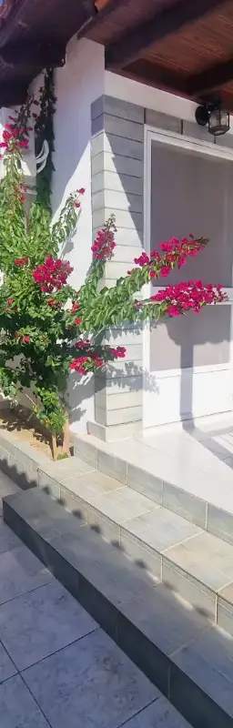 Sophias Holiday — 1