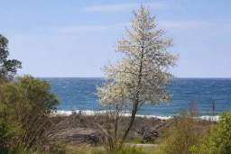 **Sai Luxury SeaView** — 1