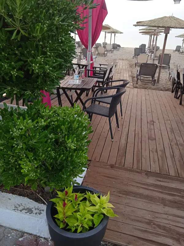 Desire Bar, Sarti — bar