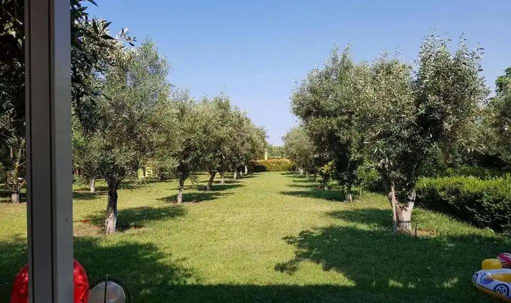 Gaia Студия и Апартаменти в Ня Плагия Халкидики, Nea Plagia, Halkidiki -(235 meters from the sea)