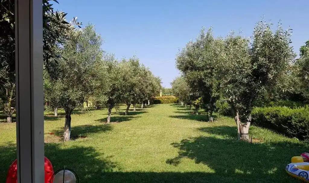 Gaia Studios & Apartments in Nea Plagia Halkidiki