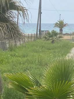 House with a sea view — 5