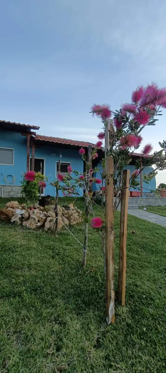 Τροχοβιλα Ρουφινας