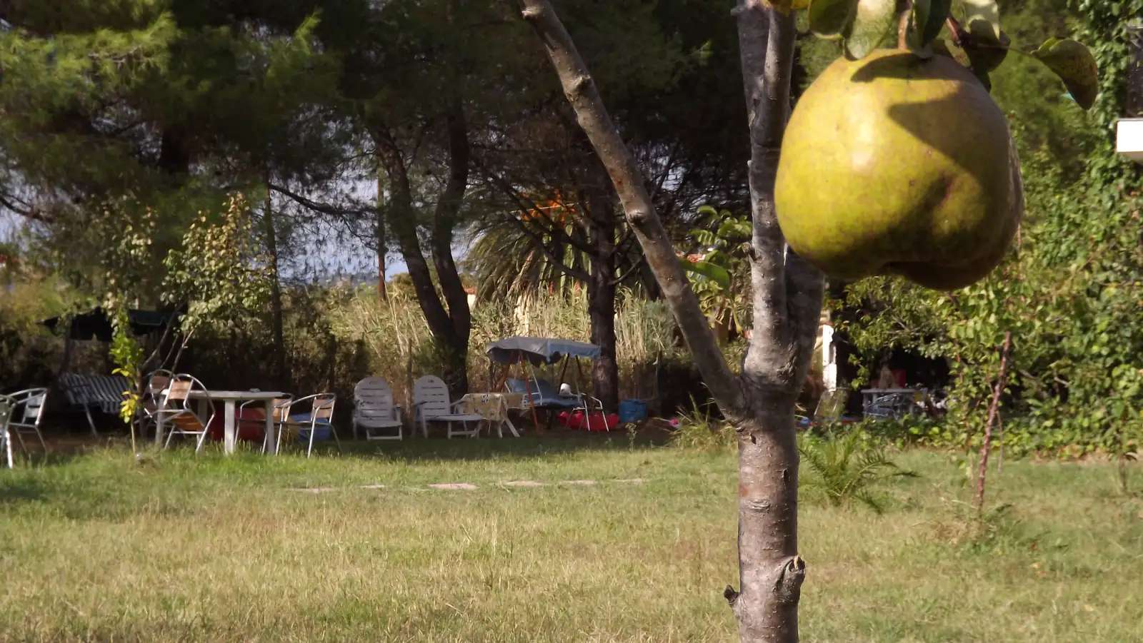 Малък апартамент близо до морето, Βουρβουρού, Σιθωνία