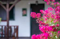 Peony House — 1